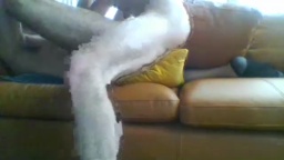 Tj_Guyxxx  01-01-2021